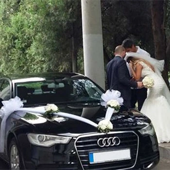 Limo Top Service Belgrade Weddings